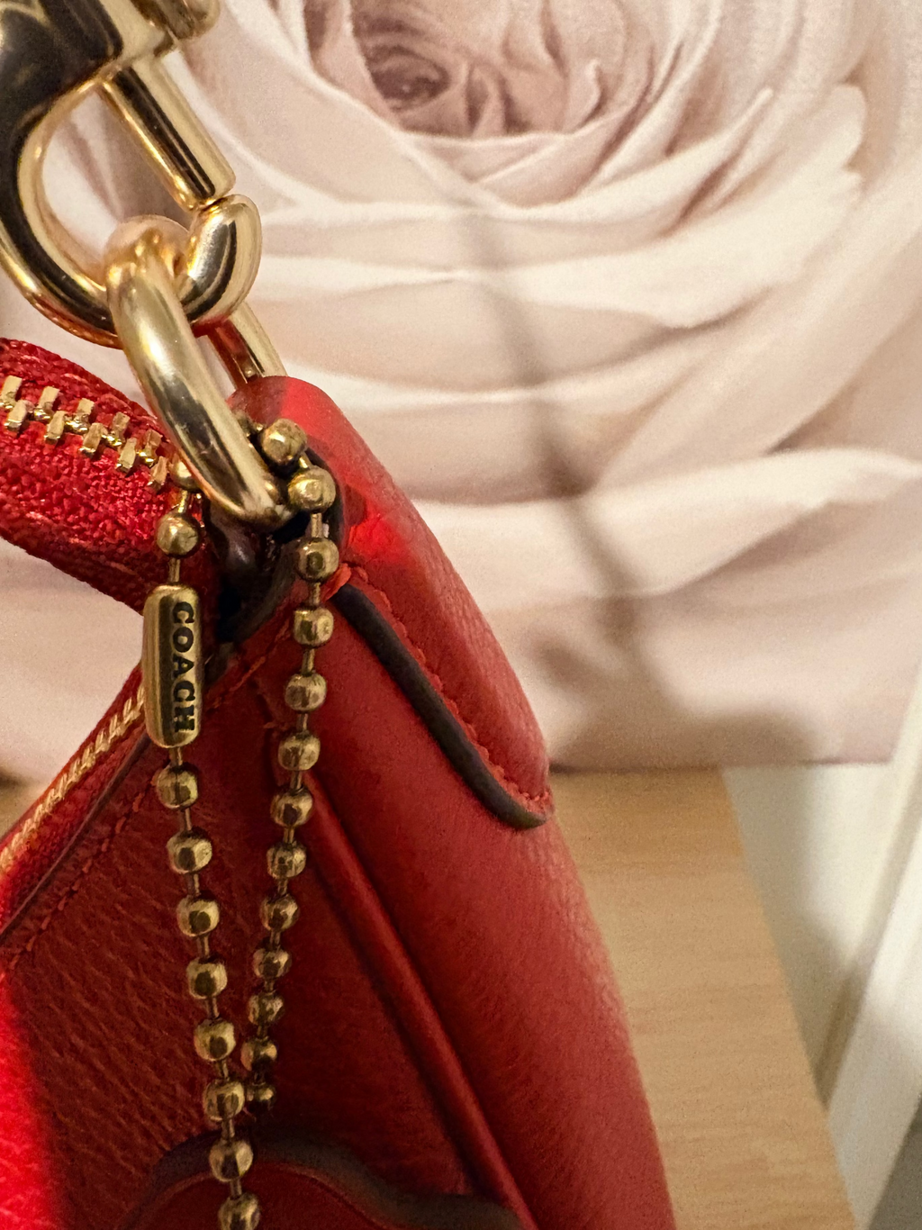 Coach Teri Hobo Shoulder Bag