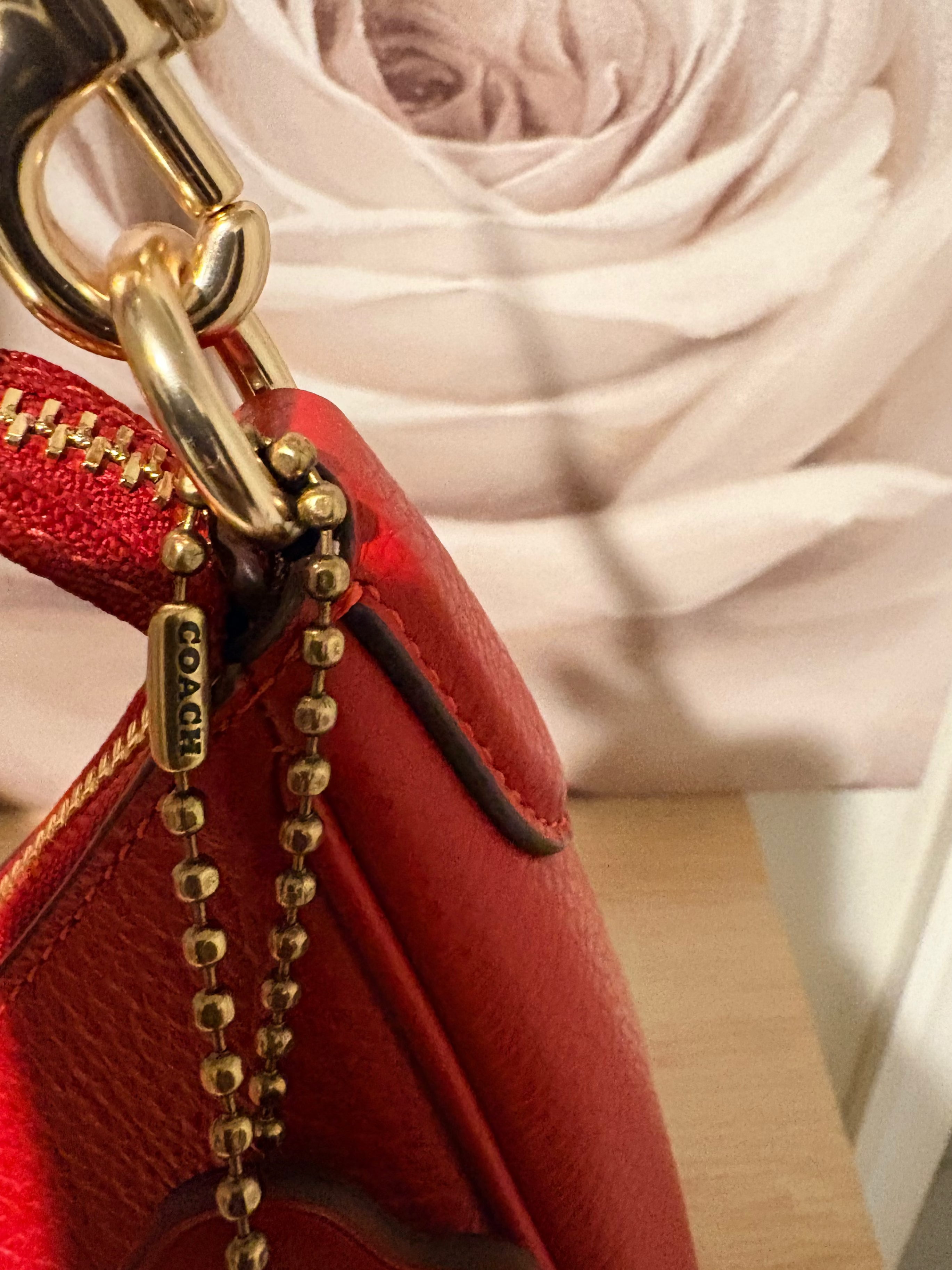 Coach Teri Hobo Shoulder Bag