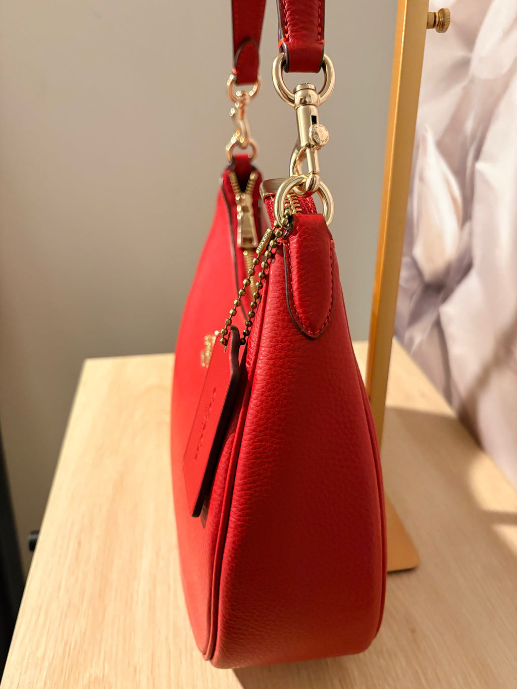 Coach Teri Hobo Shoulder Bag