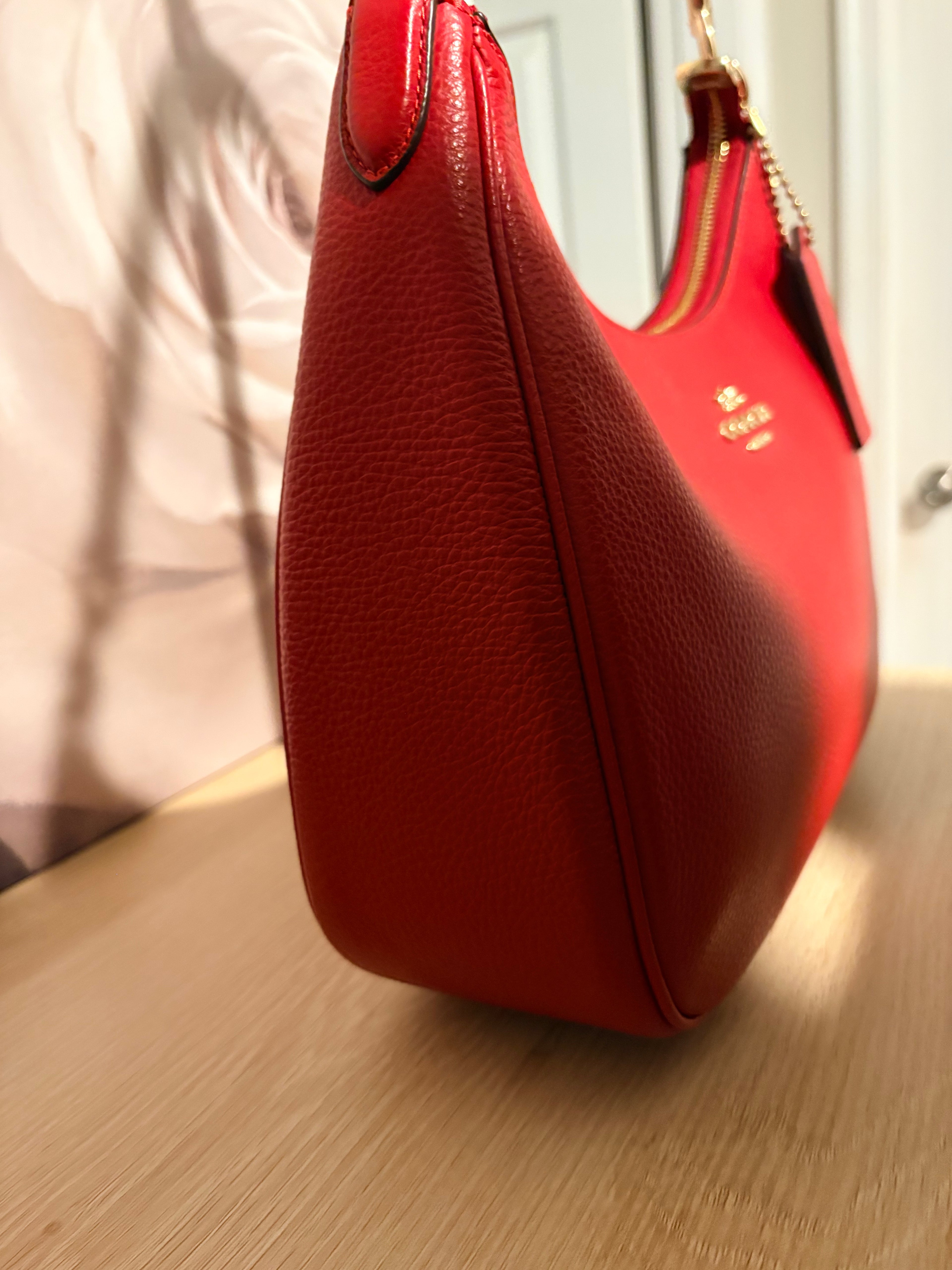 Coach Teri Hobo Shoulder Bag