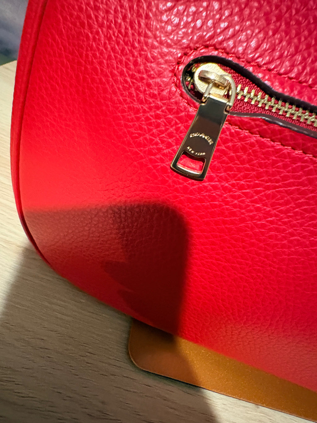Coach Teri Hobo Shoulder Bag